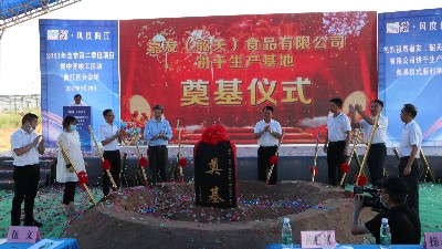 ̫�����ų�8722���޹�˾�ع��������ص�ڨ��ʽԲ���ֳ�������