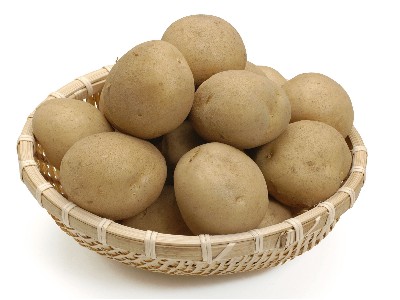 �����ʴ�����������1MM�������ɵ�����������������