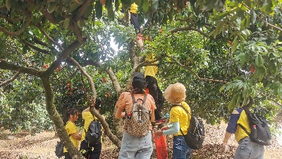 ���縣��������̫�����ų�8722��֯ժ��֦�